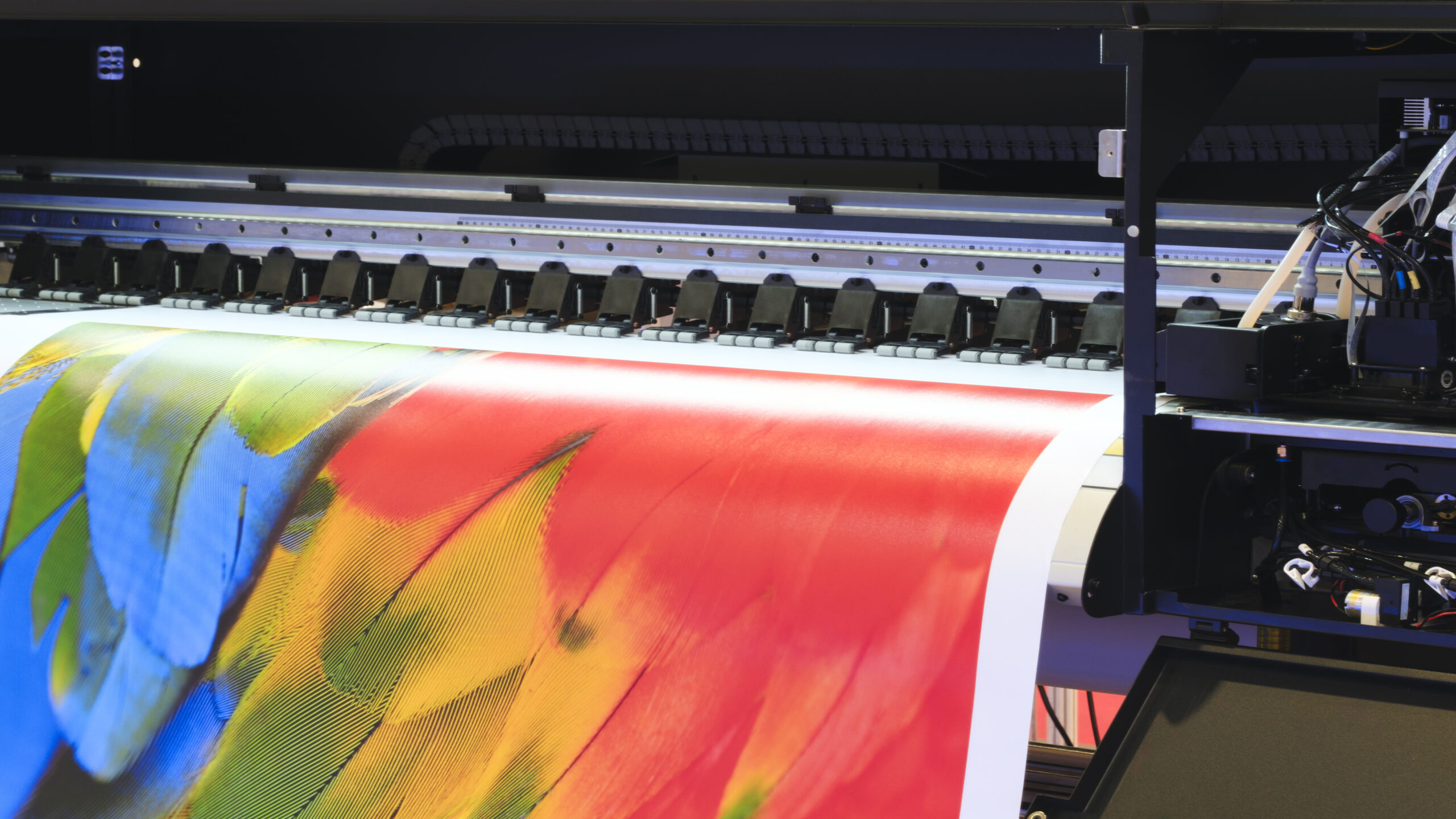 Impresora industrial de gran formato de imprenta online imprimiendo diseño con plumas coloridas en alta resolución